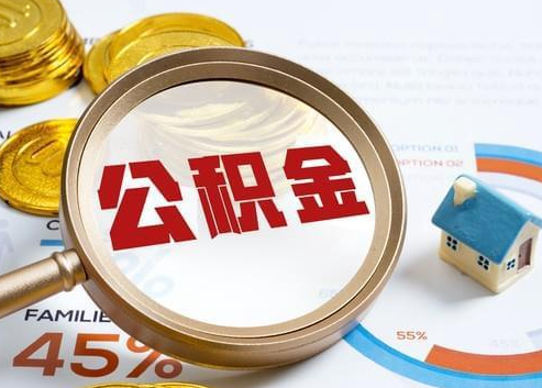 石河子2025年政策调整对个人影响综合解析